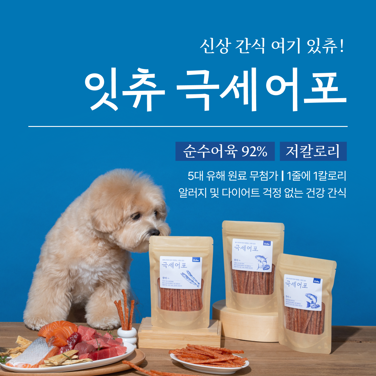 알러지&다이어트 걱정 없이!
건강 간식, 잇츄 극세어포🐟