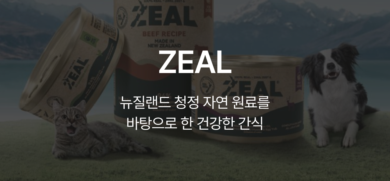 9월 취향발견 브랜드🧡
 ZEAL