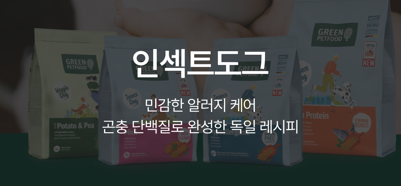 9월 취향발견 브랜드🧡
인섹트도그