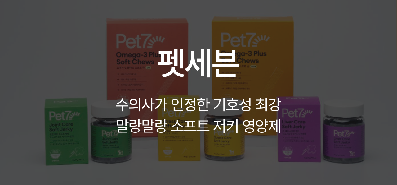 9월 Hot 브랜드🔥
PET7