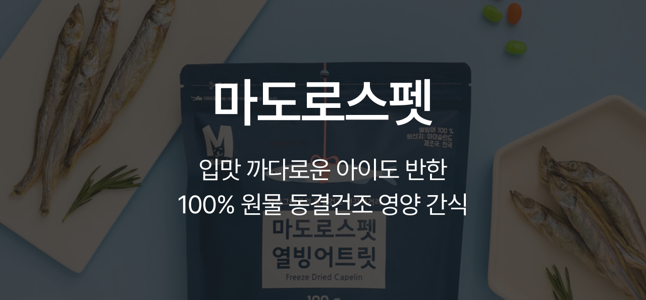 9월 취향발견 브랜드🧡
마도로스펫
