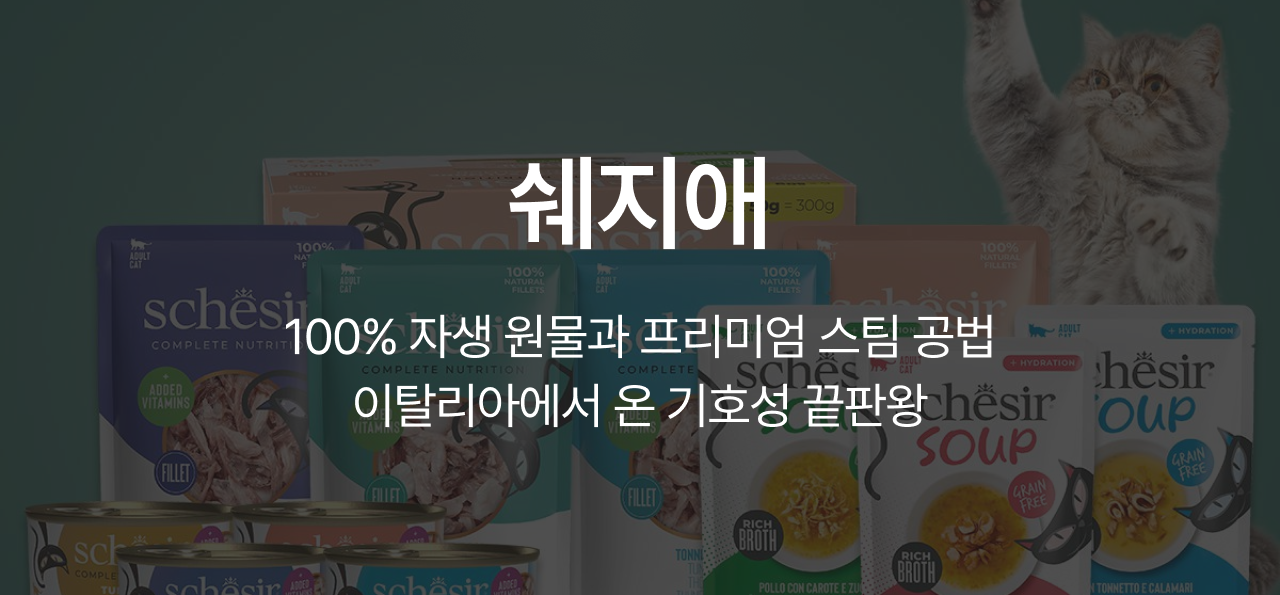 9월 취향발견 브랜드🧡
쉐지애