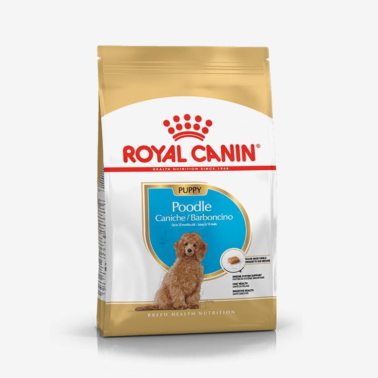 로얄캐닌 독 푸들 퍼피 1.5kg 피모관리 1번째 이미지