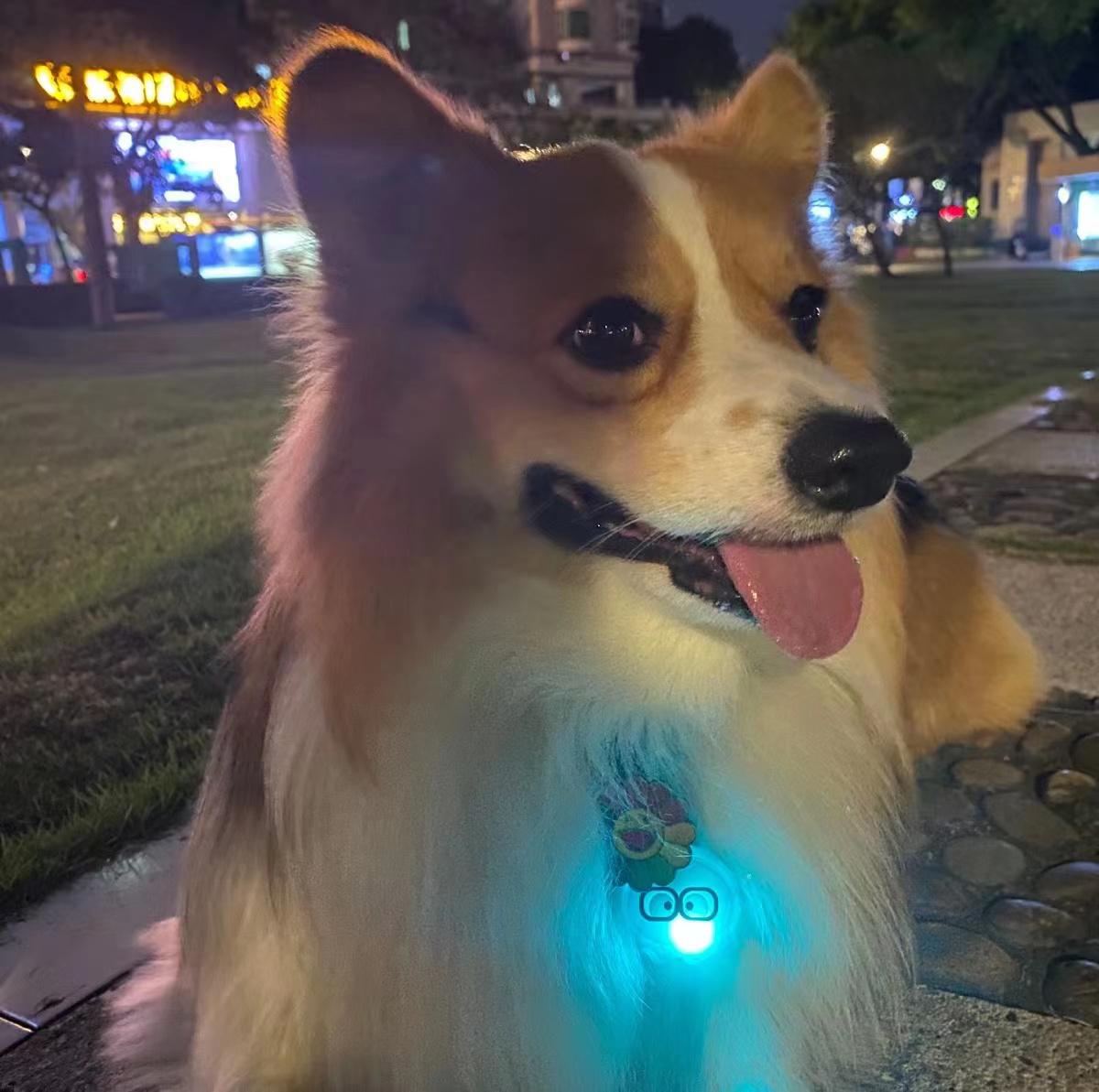 라루 옥토퍼스 LED 블링커 블루 3번째 이미지