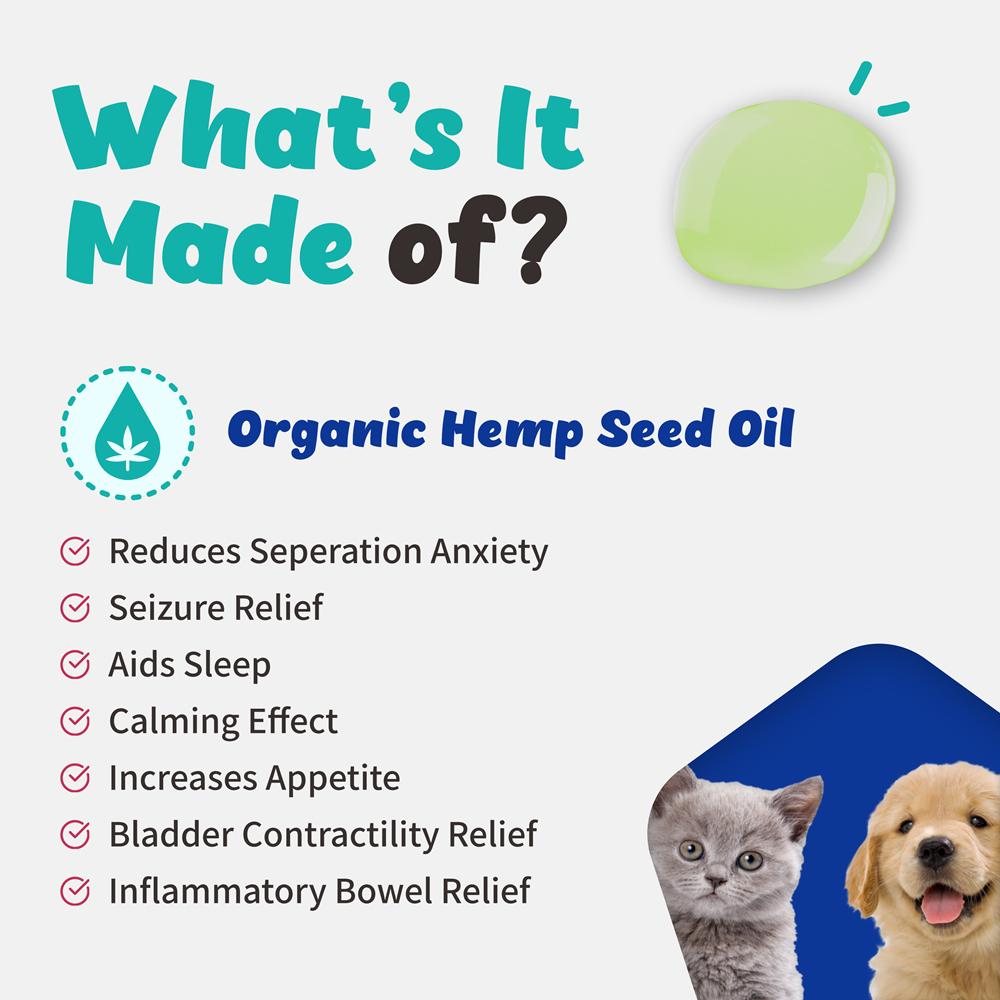 브랜바인 강아지 고양이 햄프씨드 cbd cbg 오일 대마종자유 천연 진통제 4번째 이미지