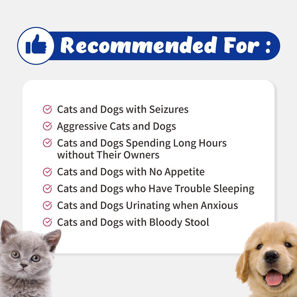 브랜바인 강아지 고양이 햄프씨드 cbd cbg 오일 대마종자유 천연 진통제 5번째 이미지