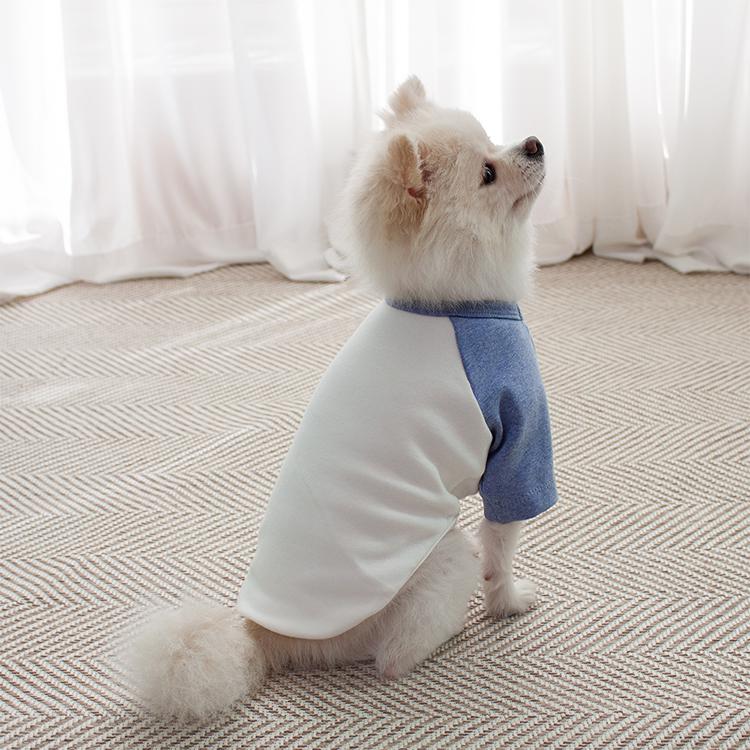 루비디 주주티셔츠 블루 (S-XL) 1번째 이미지