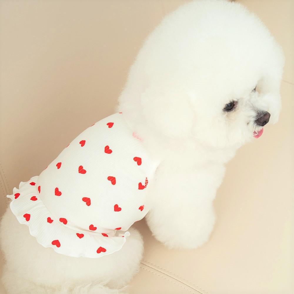 펫츠랜드 러브 프릴 나시티 화이트 (S-2XL) 6번째 이미지