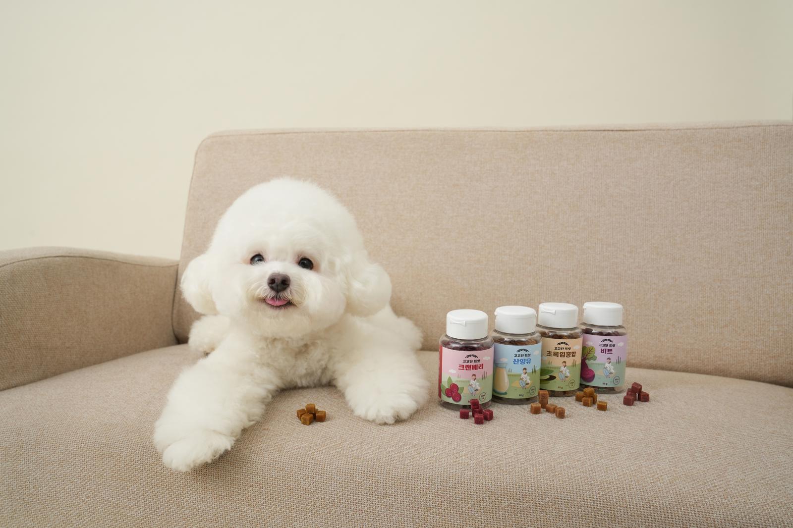 고고단트릿 80g [4가지맛]