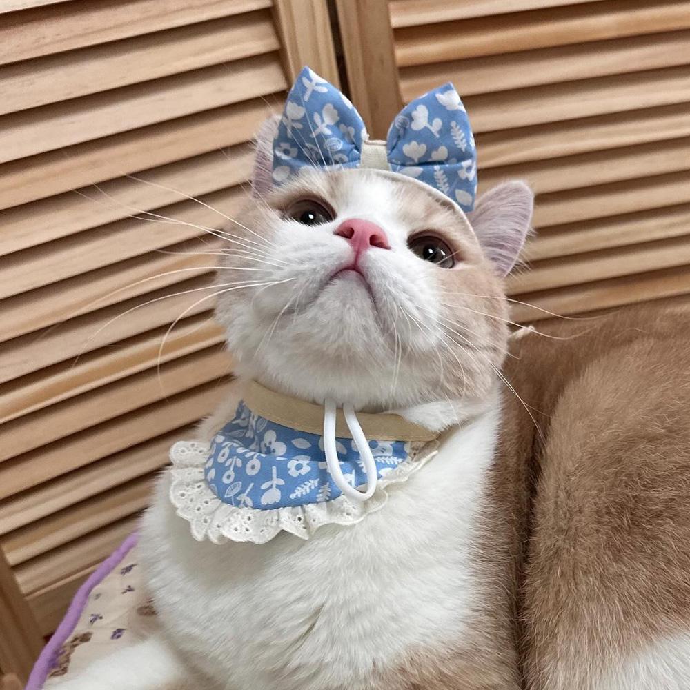 개달당 강아지 고양이 포키 체크 리본 모자 턱받이 2종 3colors 2번째 이미지