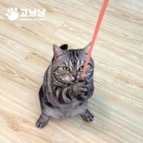 고냥냥 고양이 쥐꼬리 장난감 1번째 이미지