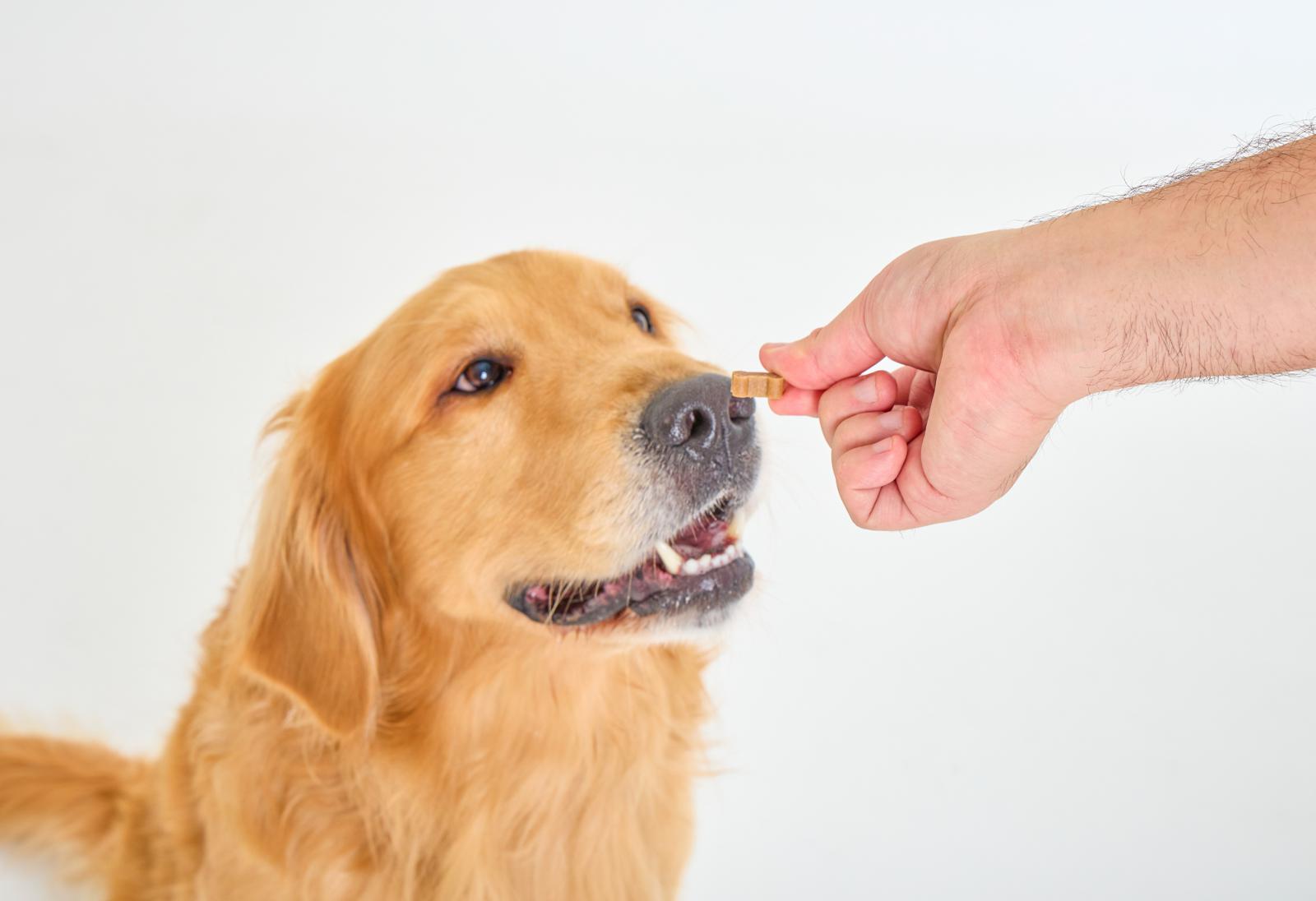 벤지앤레아 퍼펙트바이츠(Pawfect Bites) 연어 100g 3번째 이미지