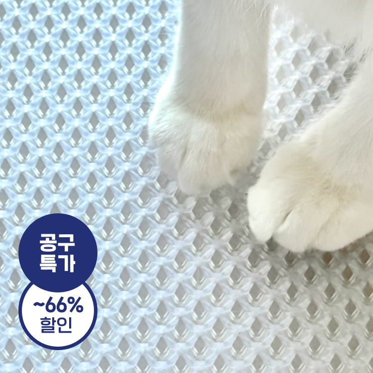 https://static.fitpetcdn.com/prod/images/product/1010045370/김시카_공동구매_썸네일_ehmlos.png